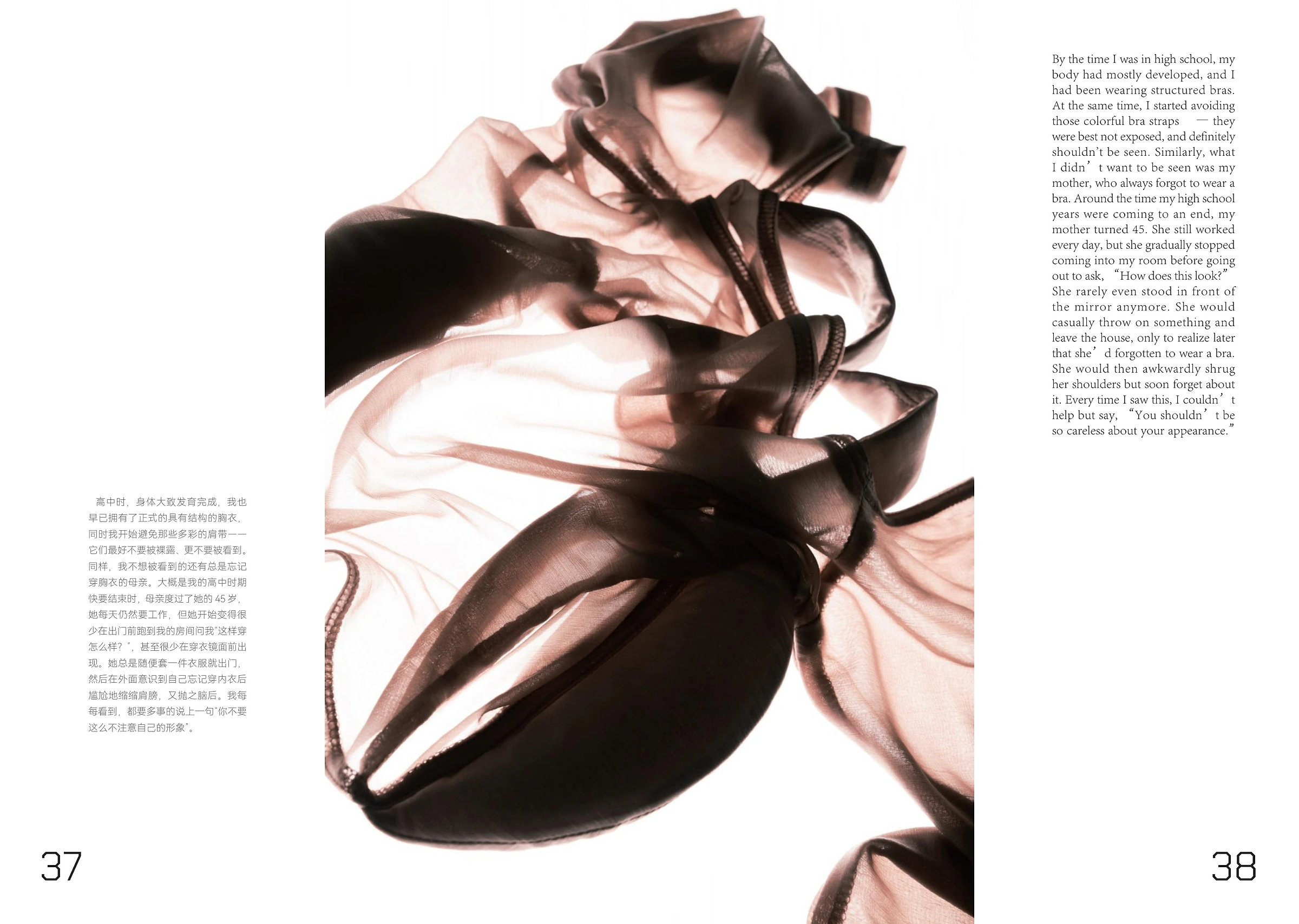 除了 issue 0 pages 37 and 38